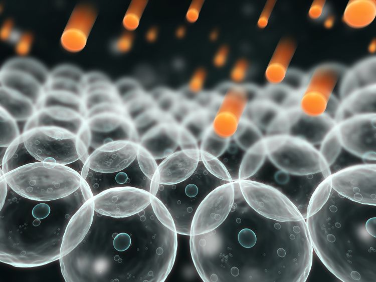 anti-oxidant function of glutathione.jpg